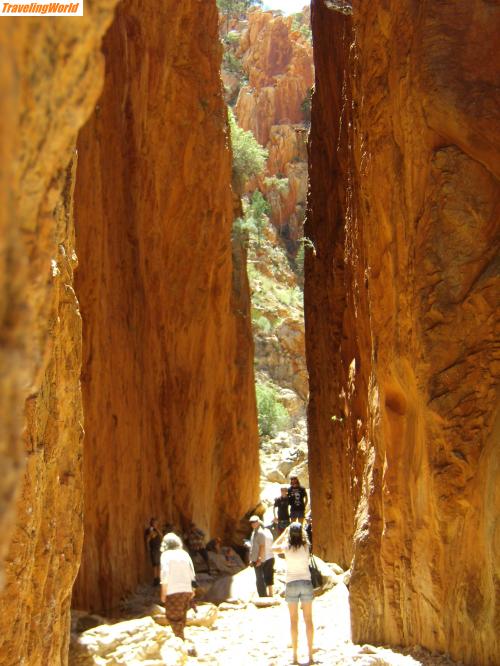 Australien: PA010291 / Mc Donnell Ranges Schluchten