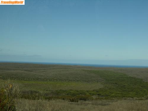 Australien: PA050393 / 1997 durch Buschfeuer ist fast die ganze Insel abgebrannt