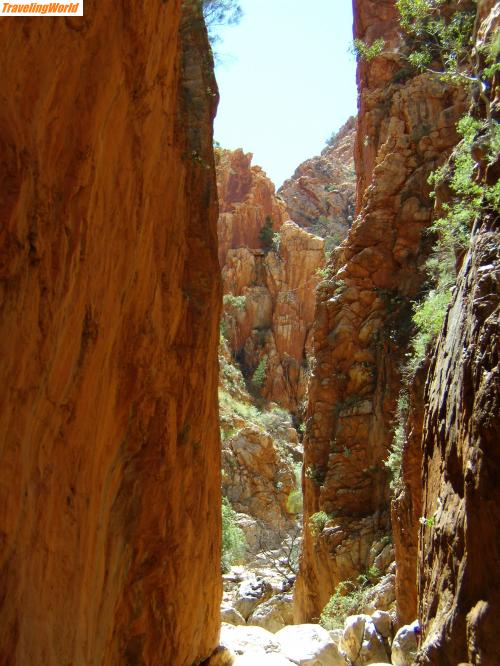 Australien: PA010292 / Mc Donnell Ranges Schluchten