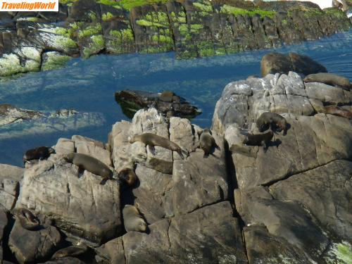 Australien: PA050410 / Admirals Arch