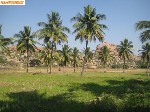 Indien: IMG_3455 / Goa