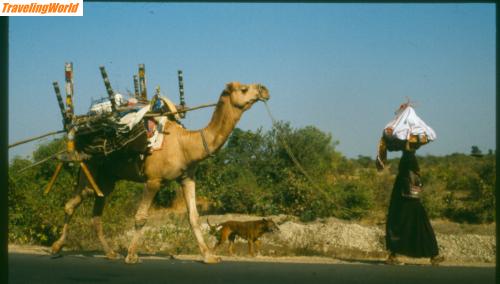 Indien: Scannen0119 / 