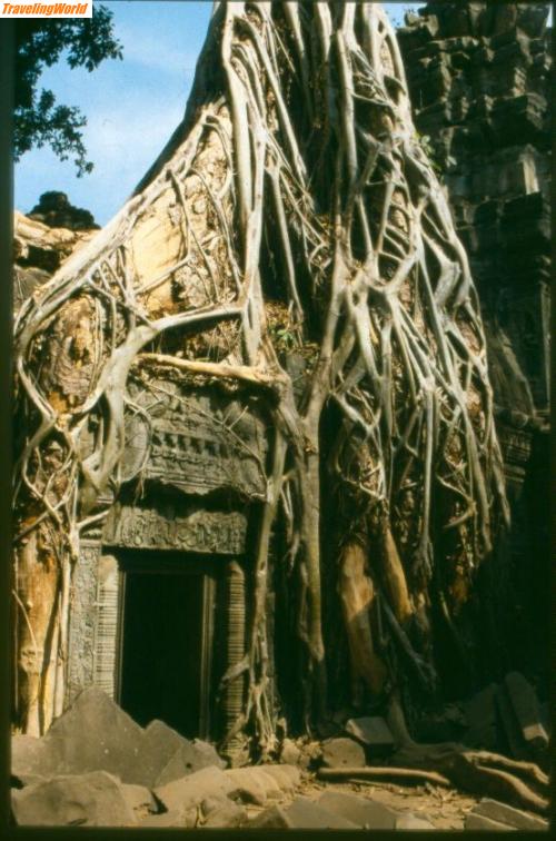 Kambodscha: Scannen0185 / 