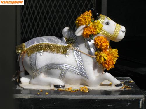 Indien: File_141 / Nandu der Reitstier Shivas