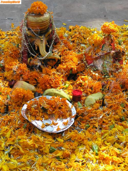 Indien: P1010311 / Blumenopfer für Shiva und Ganesha