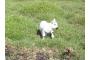 Irland: 100_1127