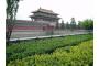 China: DSC02584