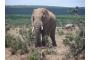 Sdafrika: 100_0640