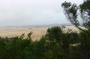 Australien: 1504 Fraser Isl. - sanddune