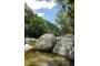 Australien: Mossman Gorge im Daintree Forest 02.11.2009