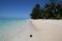 Australien: Rarotonga 17.11.2009 (4)