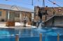 Australien: Zoo_Sealshow