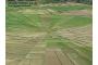Indonesien: webspider ricefield 