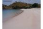 Indonesien: pink beach komodo island