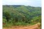 Swasiland: Swaziland-0712 041