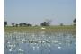 Botsuana: Botswana Okavangu Delta