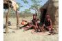 Namibia: Namibia Himbas at hut