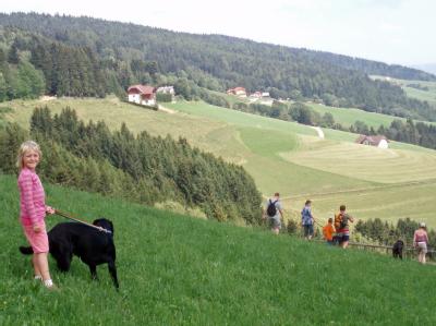 Wandern mit Kindern