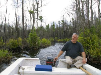 Okefenokee-Sumpf