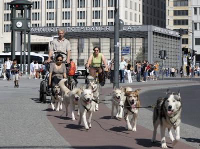 Schlittenhunde in Berlin