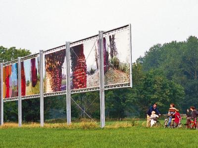 Bilderwand bei Lage