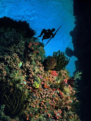 Osttimor