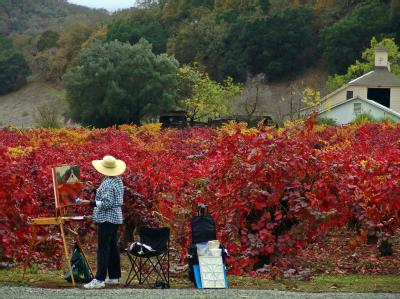 Sonoma in Kalifornien