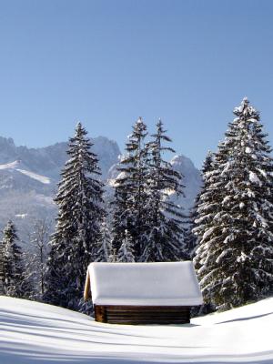 Hütte