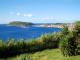 Faial