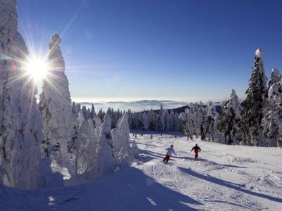 Skifahren im Böhmerwald