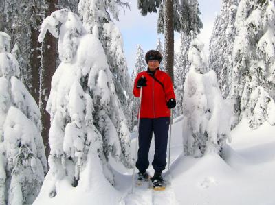 Skifahren im Böhmerwald
