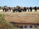 Etosha-Nationalpark in Namibia