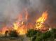 Feuerkatastrophe in Australien