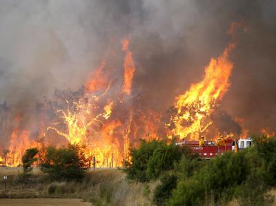 Feuerkatastrophe in Australien