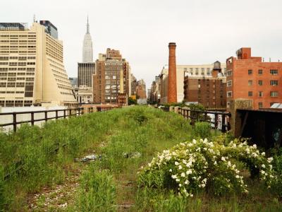 High Line Park