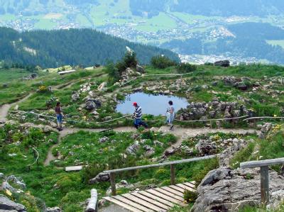 Wandern