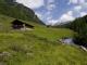 Almenlandschaft
