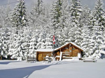 Almdörfer_Mountainwolffarm