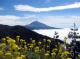 Pico del Teide