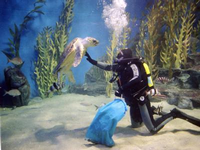 Aquarium in Melbourne