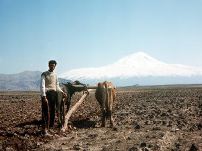 Ararat