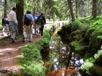 Wanderungen rund um Thale
