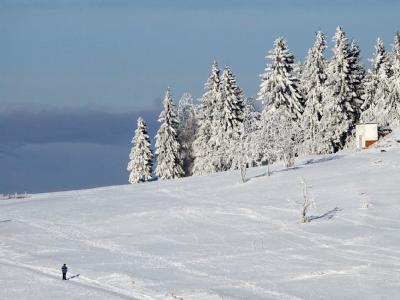 Thüringer Wald