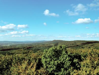 Panorama